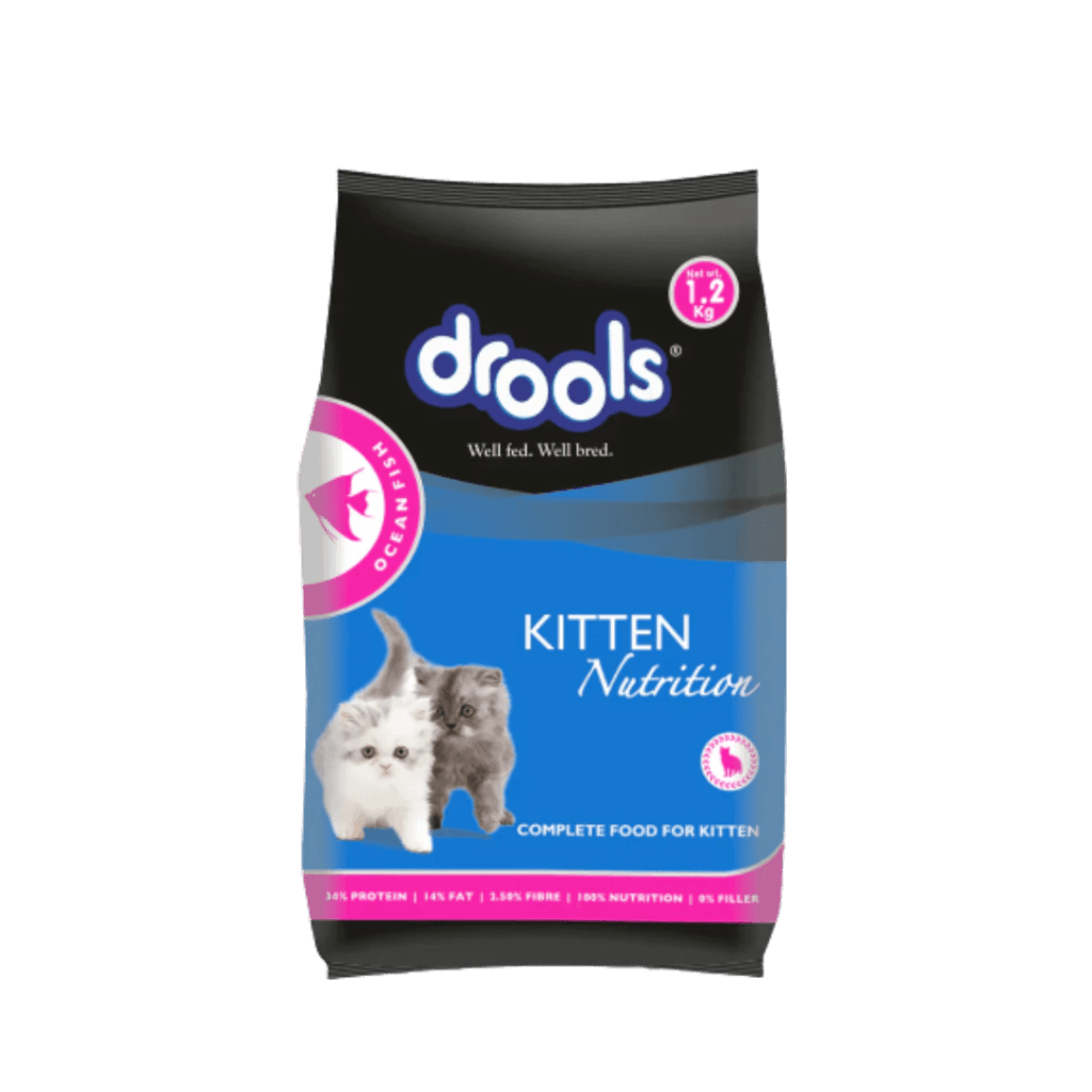 drools-cat-kitten-food-pupshala