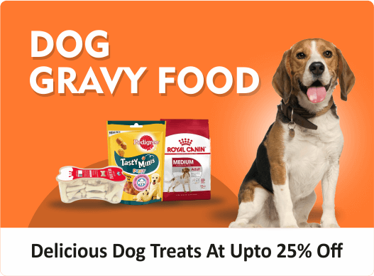 dog gravy food